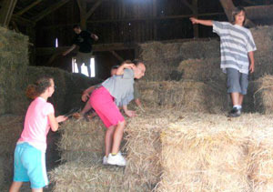 climbing-the-hay.jpg